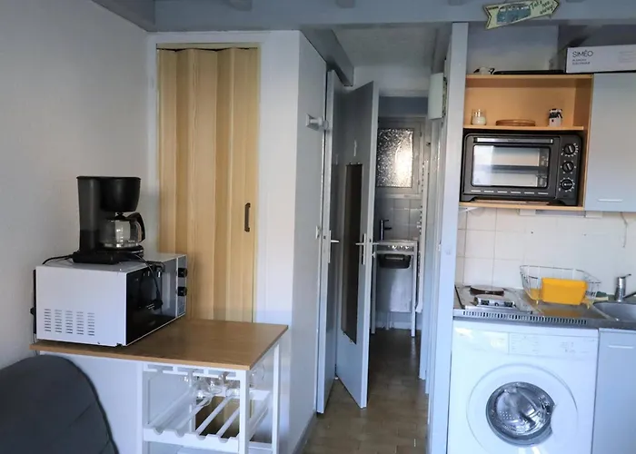 Ferienhaus Location Maison Avec Piscine - 4 Pers. - - Fr-1-738-9 Les Mathes